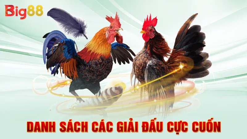 Danh sách các giải đấu cực cuốn 