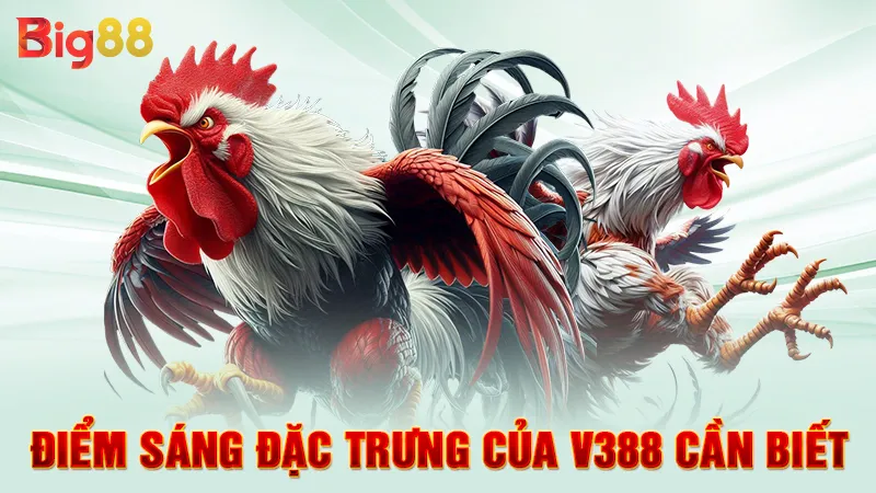 Điểm sáng đặc trưng của V388 cần biết