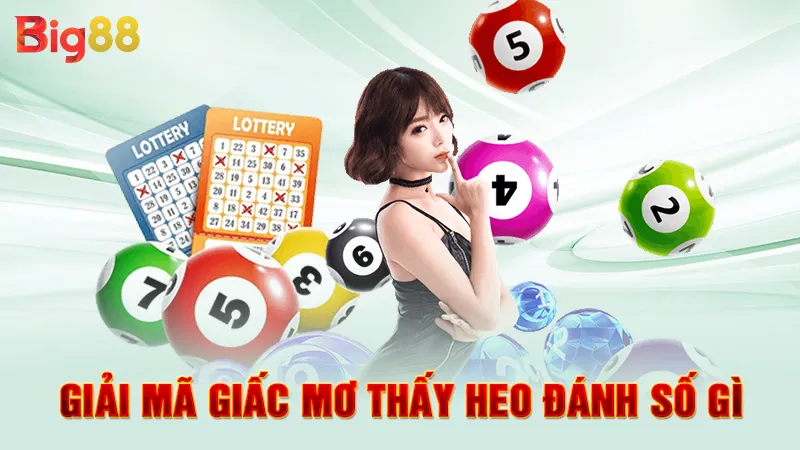 Giải mã mộng heo con đánh số gì