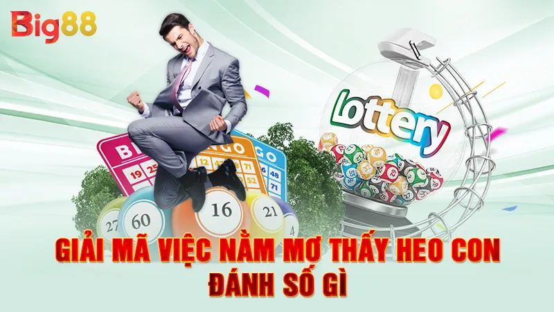 Giải mã nằm thấy heo con đánh số gì