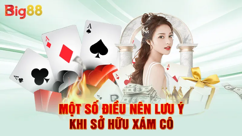 Xám Cô Là Gì 4 Một số điều nên lưu ý khi sở hữu xám cô