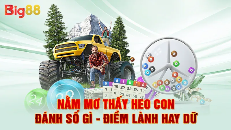 Nằm Mơ Thấy Heo Con Đánh Số Gì