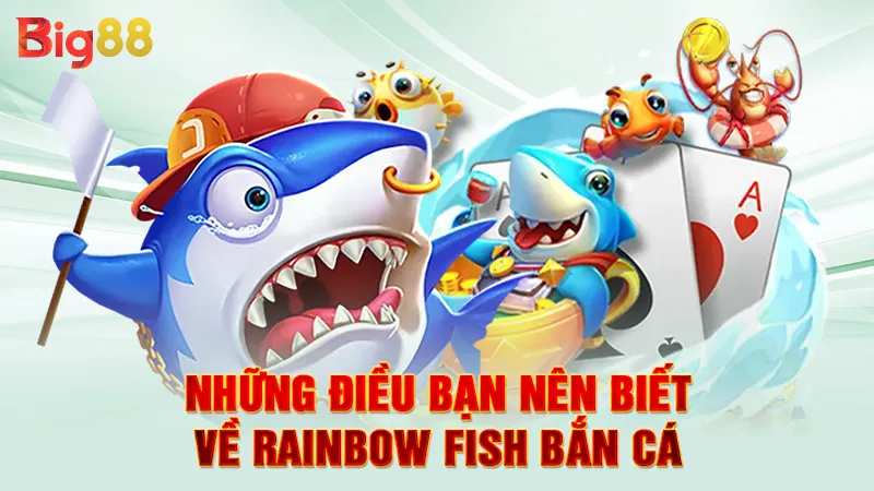 Rainbow Fish Bắn Cá 2 Những điều bạn nên biết về Rainbow fish bắn cá