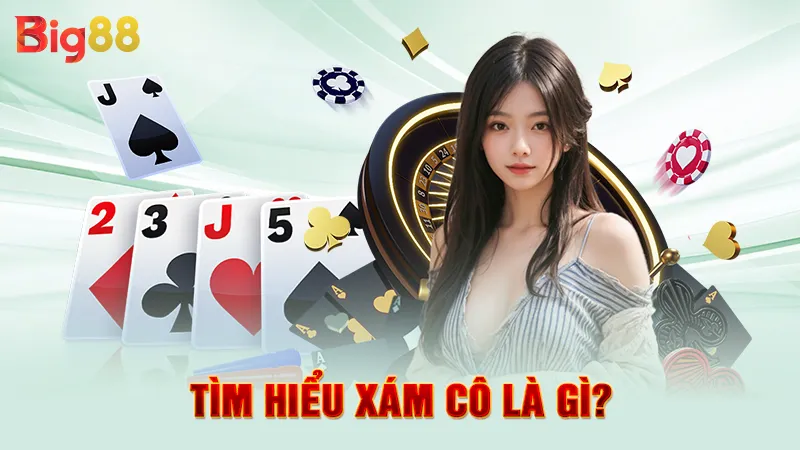 Xám Cô Là Gì 2 Tìm hiểu xám cô là gì?