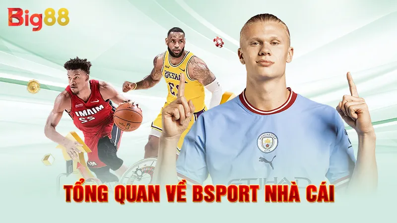 Bsport Nhà Cái 2 Tổng quan về Bsport nhà cái